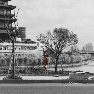 日本免费在线视频
