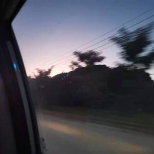 日本免费在线视频
